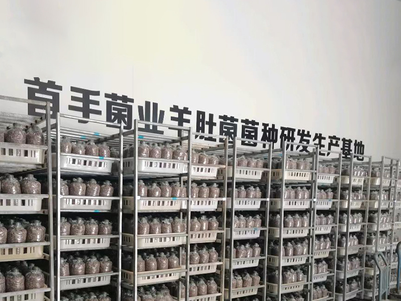 基地展示