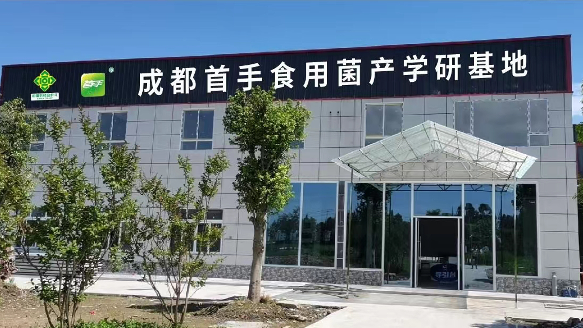 种菇找菌种 我只选新瑞都
