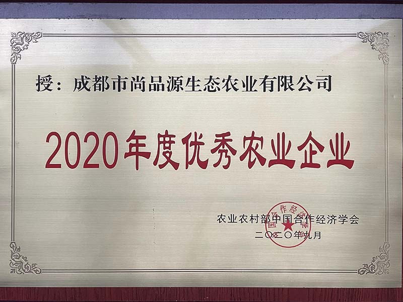 2020年度优秀农业企业
