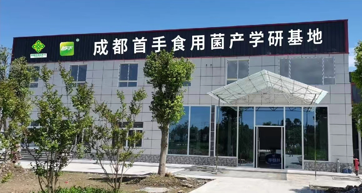 基地展示
