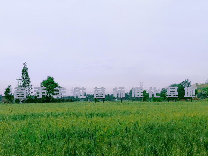 基地展示