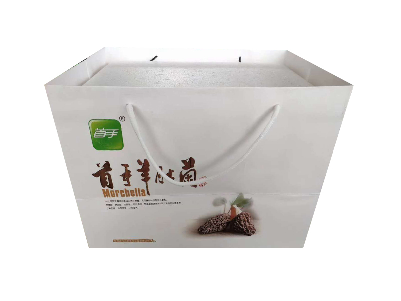 羊肚菌