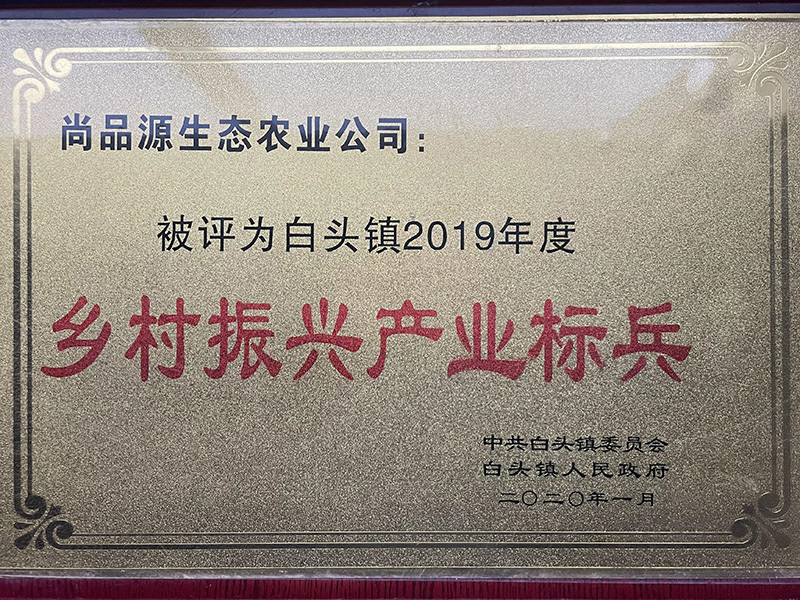 乡村振兴产业标兵